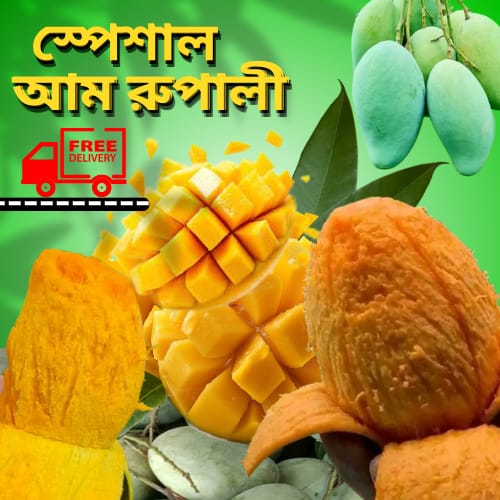 WhatsApp Image 2025-05-09 at 6.37.55 PM (1)