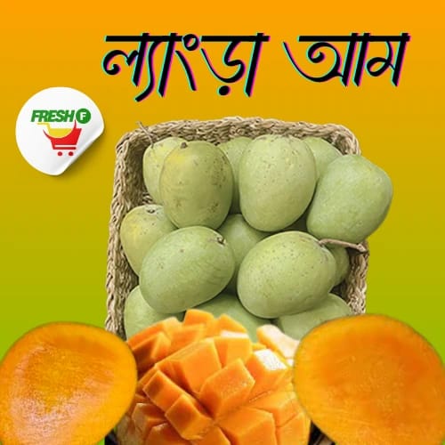 WhatsApp Image 2025-05-09 at 6.40.50 PM (2)